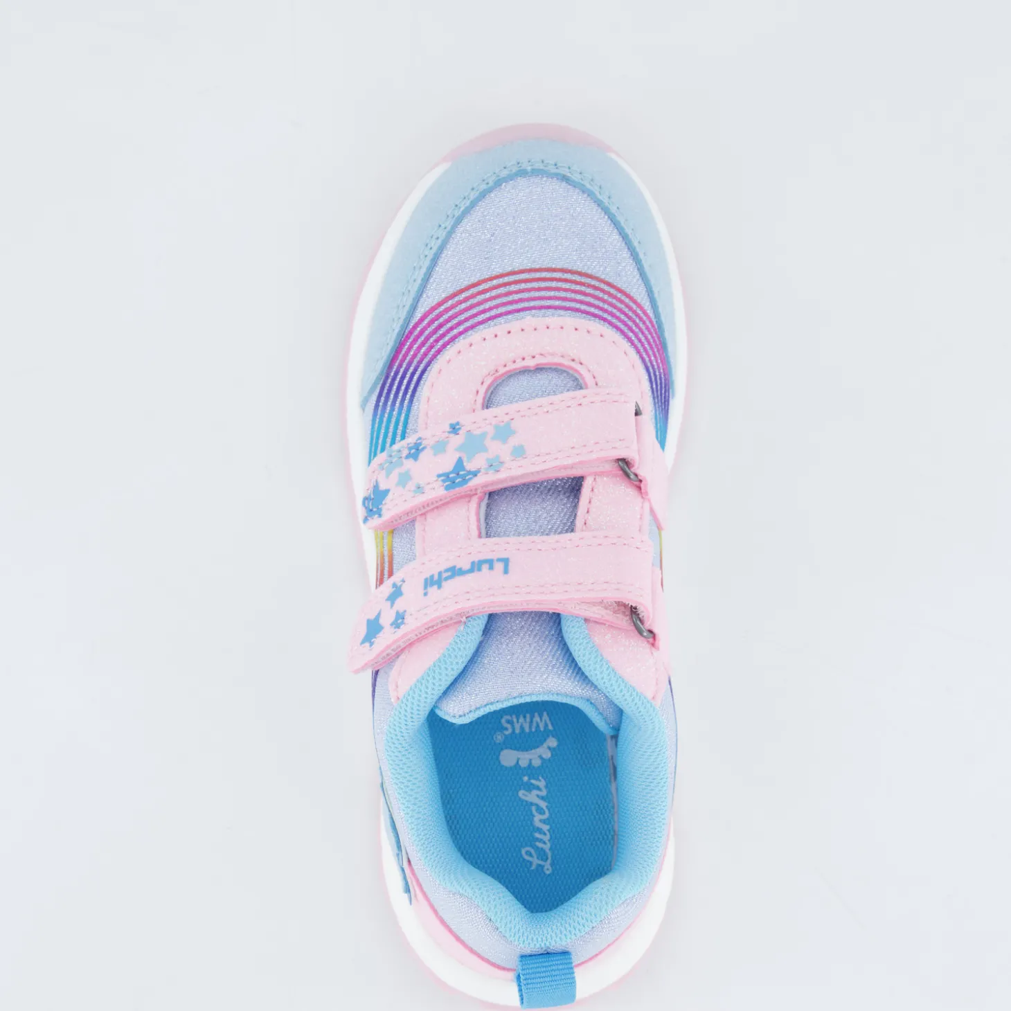 Abelia