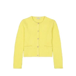 B50051_ladies cardigan