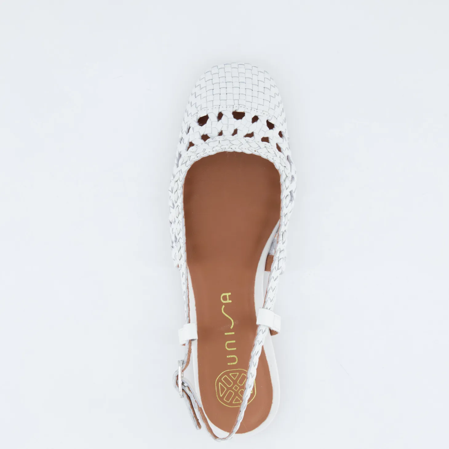 Brejo