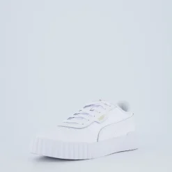 Carina 3.0