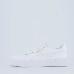 Carina 3.0