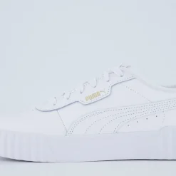 Carina 3.0