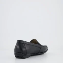 Cortizia-705-H