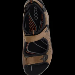 ECCO OFFROAD