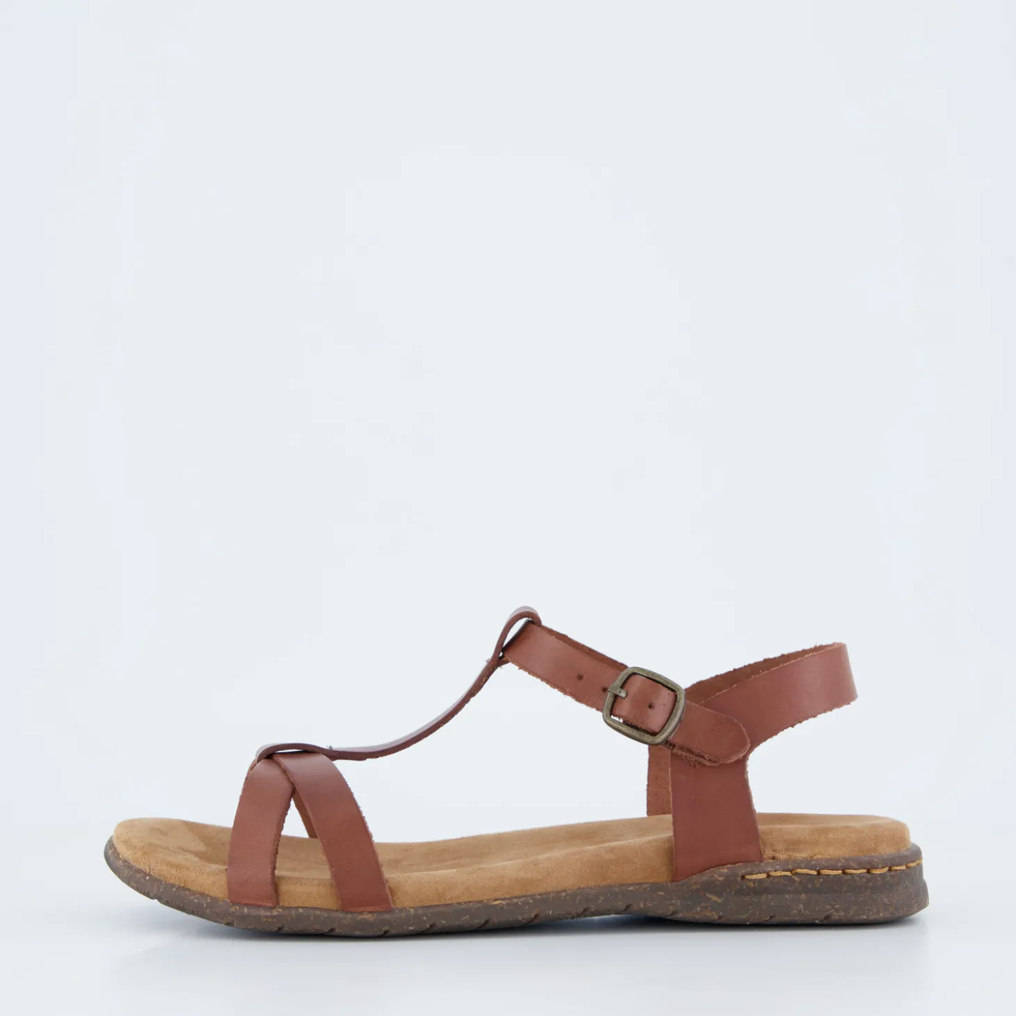 Fabricia 01