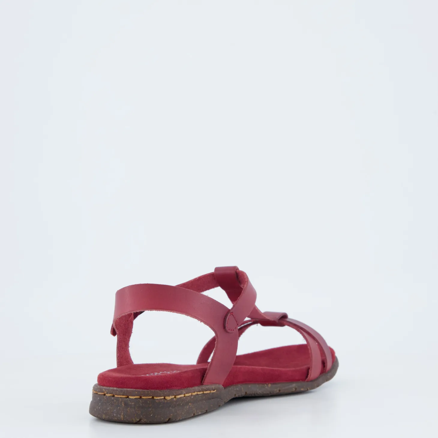 Fabricia 01