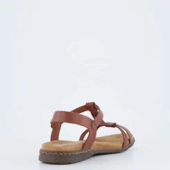 Fabricia 01