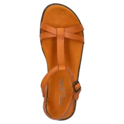 Fabricia 01