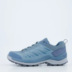 FERROX GTX LO WS