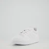 HOOPS 3.0