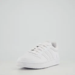 HOOPS 3.0