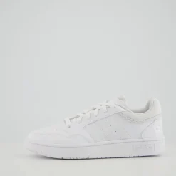 HOOPS 3.0
