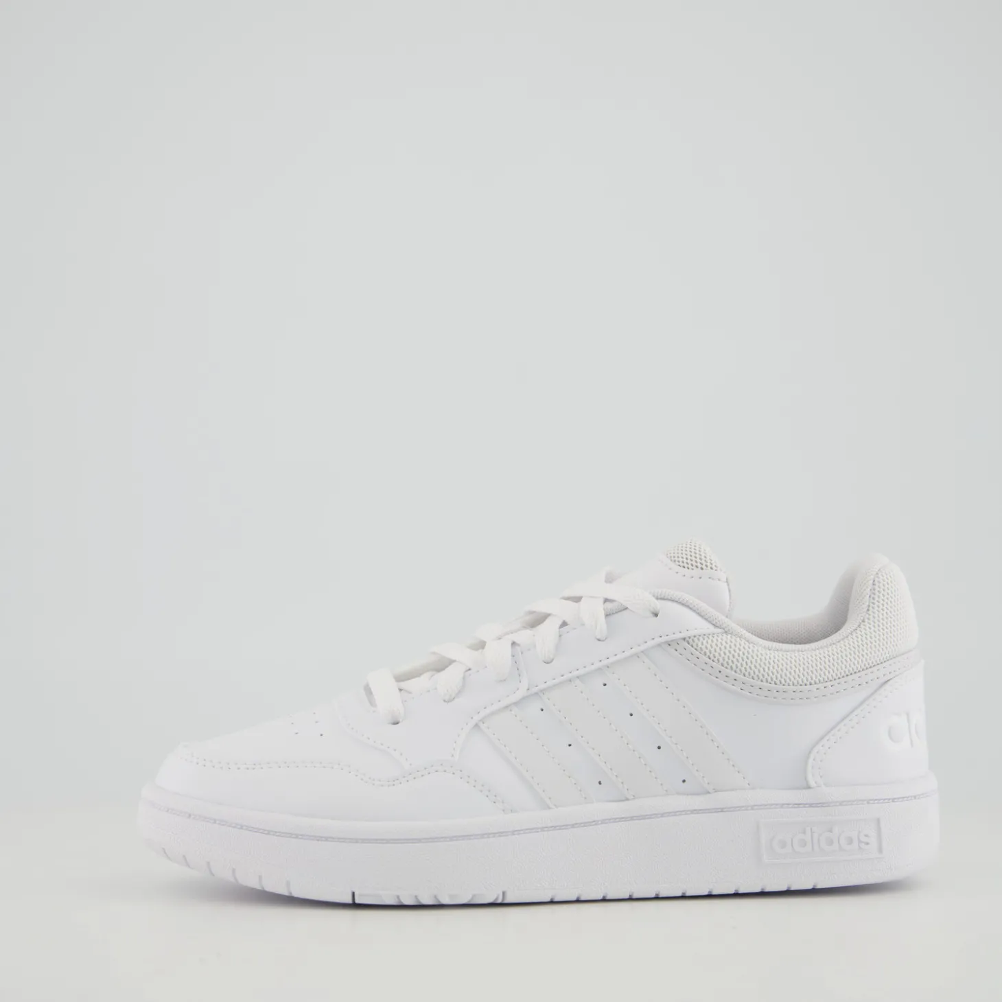 HOOPS 3.0
