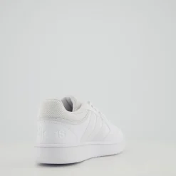 HOOPS 3.0