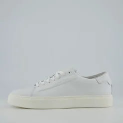 LOW TOP LACE UP LTH