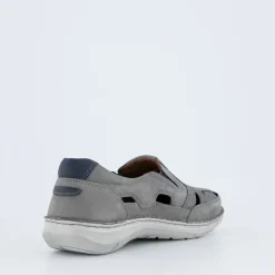New Anvers 77