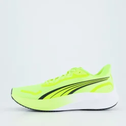Pounce Lite
