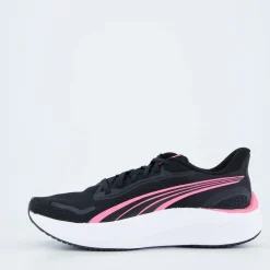 Pounce Lite