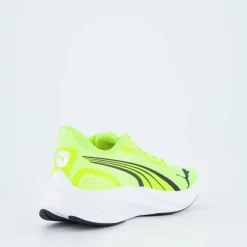 Pounce Lite