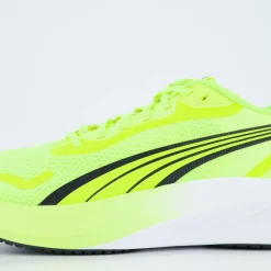 Pounce Lite