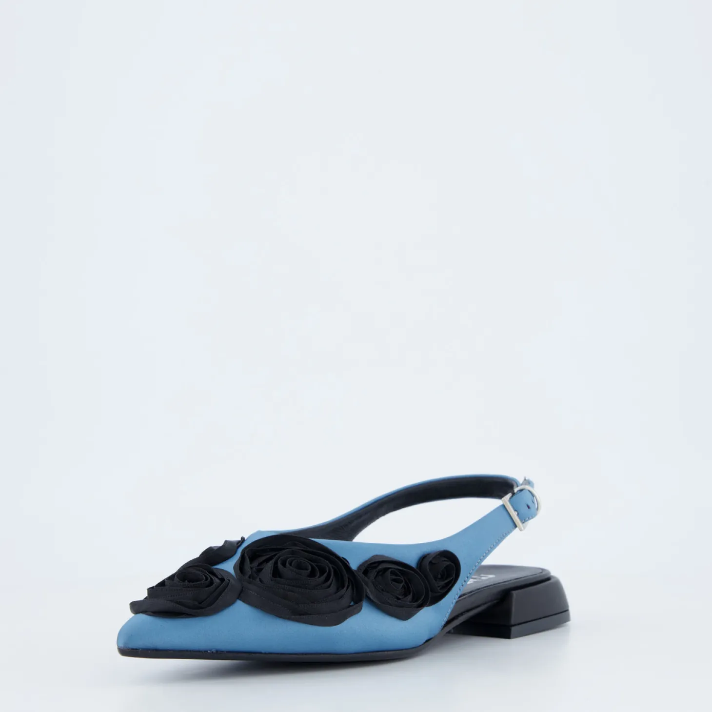 Pumps