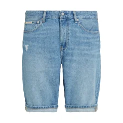 REGULAR SHORT