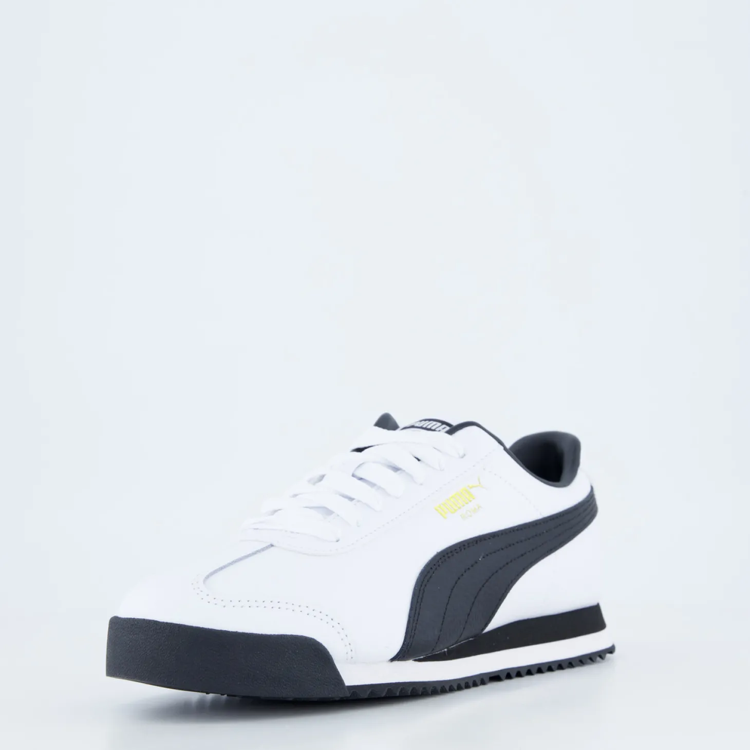 Roma 24 Standard