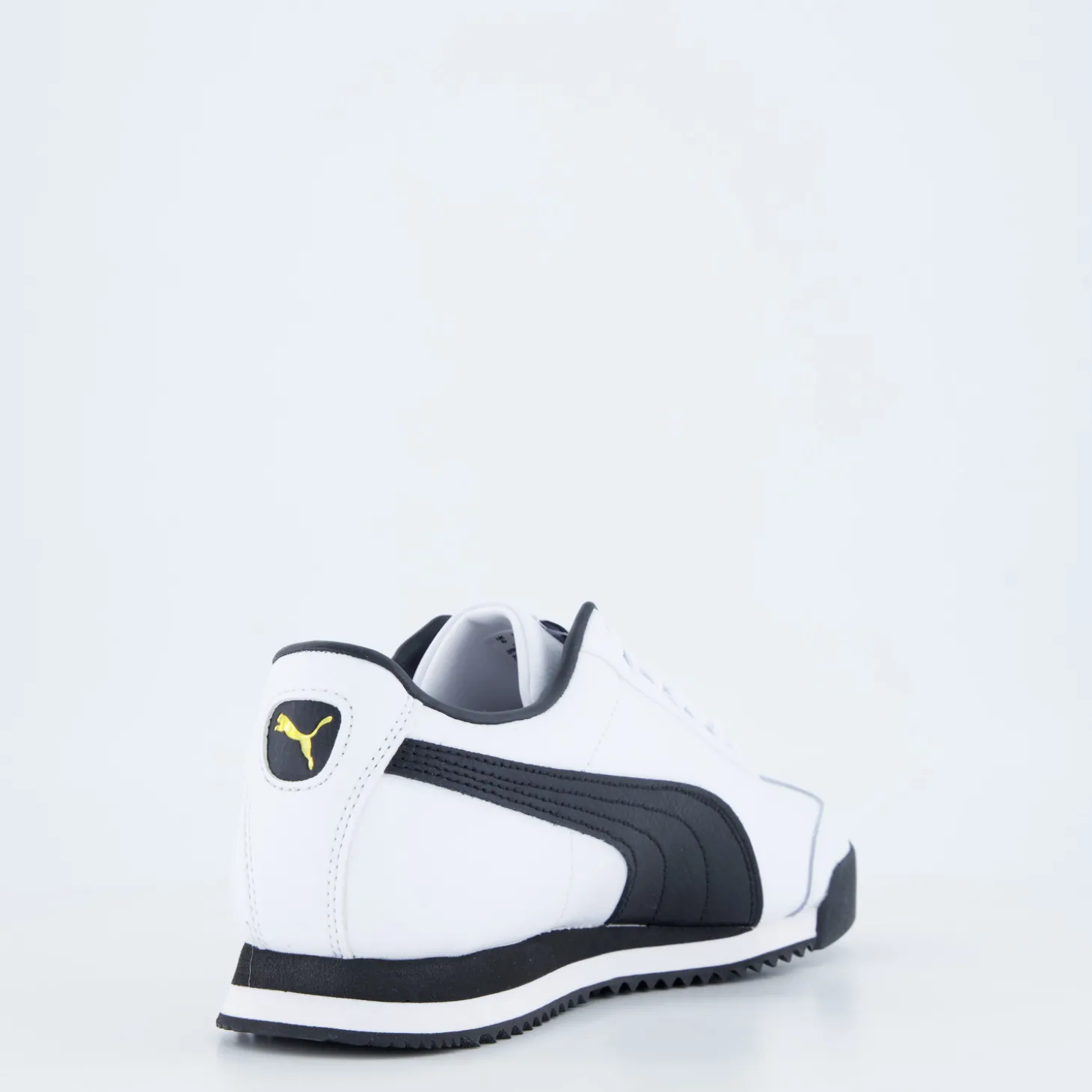 Roma 24 Standard