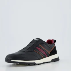 SALAMANDER man AM4