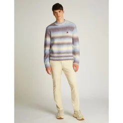 TJM REG OMBRE CNECK SWEATER