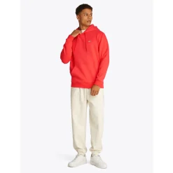 TJM REG S FLAG HOODIE EXT